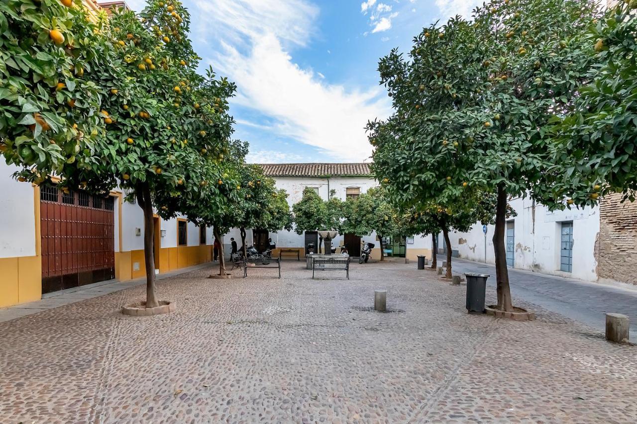 Bhost - Regina III Apartment Cordoba Exterior photo
